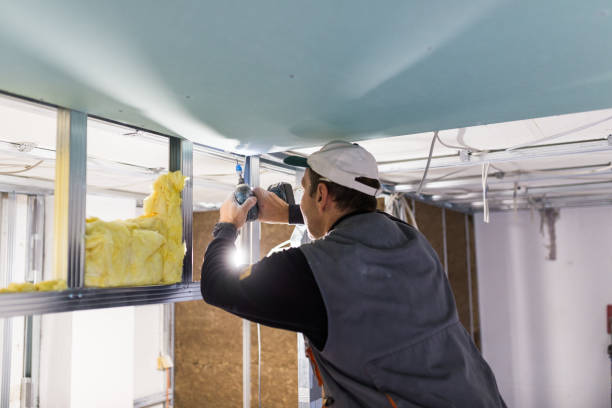 Best Insulation Maintenance and Repair in Walnut Creek, NC